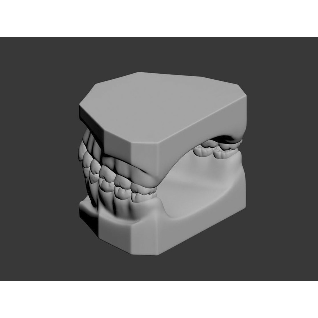 Dental 3D Model – High Poly Scanned Teeth for Rendering and 3D Printing - View 21