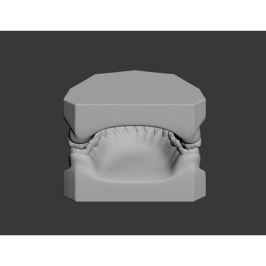 Dental 3D Model – High Poly Scanned Teeth for Rendering and 3D Printing - View 22