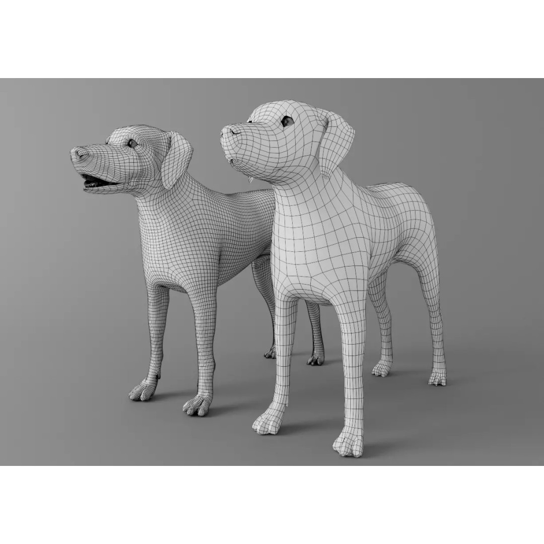 Dog 3D Model – Low Poly Rigged Animal Asset for Animation - View 10