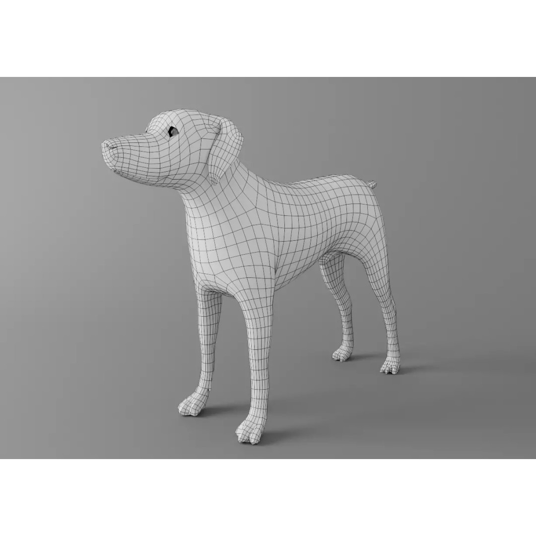 Dog 3D Model – Low Poly Rigged Animal Asset for Animation - View 2