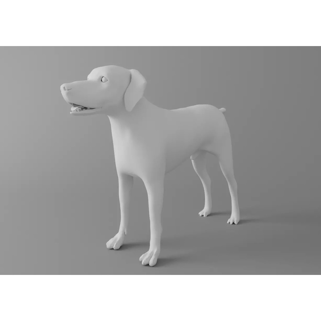 Dog 3D Model – Low Poly Rigged Animal Asset for Animation - View 3