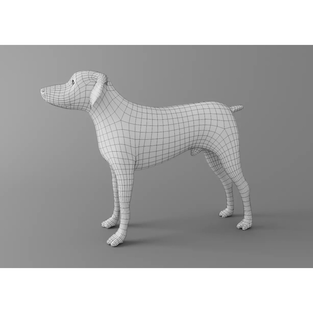 Dog 3D Model – Low Poly Rigged Animal Asset for Animation - View 4