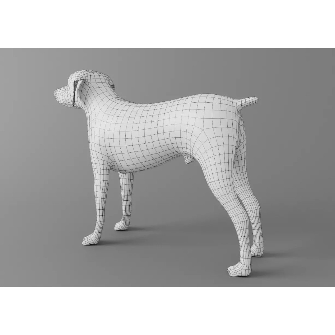 Dog 3D Model – Low Poly Rigged Animal Asset for Animation - View 5