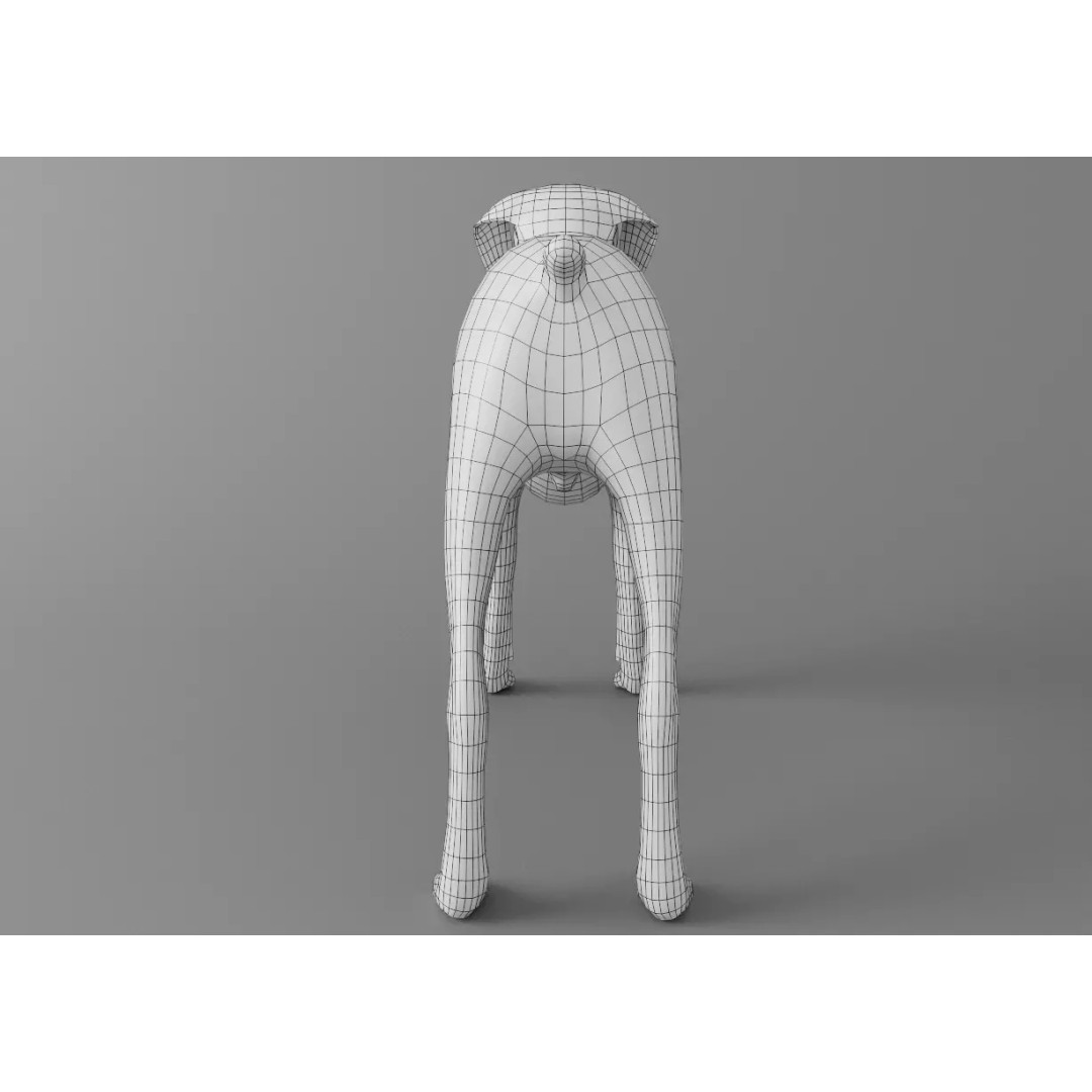 Dog 3D Model – Low Poly Rigged Animal Asset for Animation - View 6