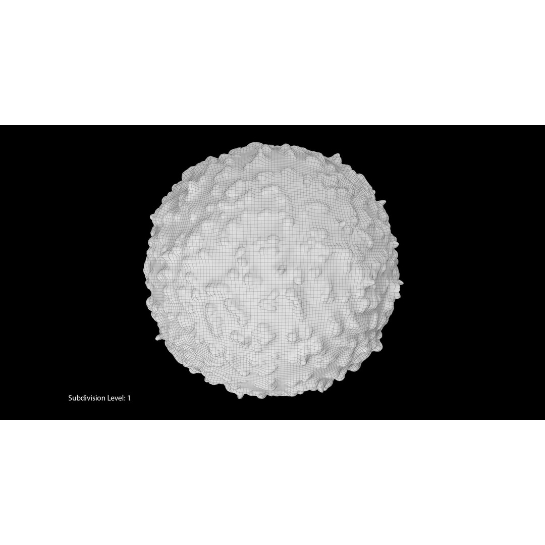 White Blood Cell 3D Model – Low Poly Medical Asset, FBX, OBJ - View 20