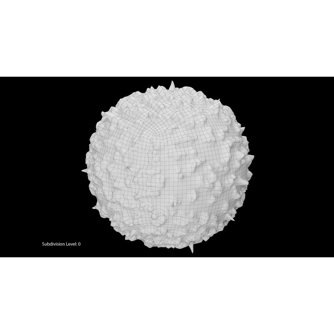 White Blood Cell 3D Model – Low Poly Medical Asset, FBX, OBJ - View 21