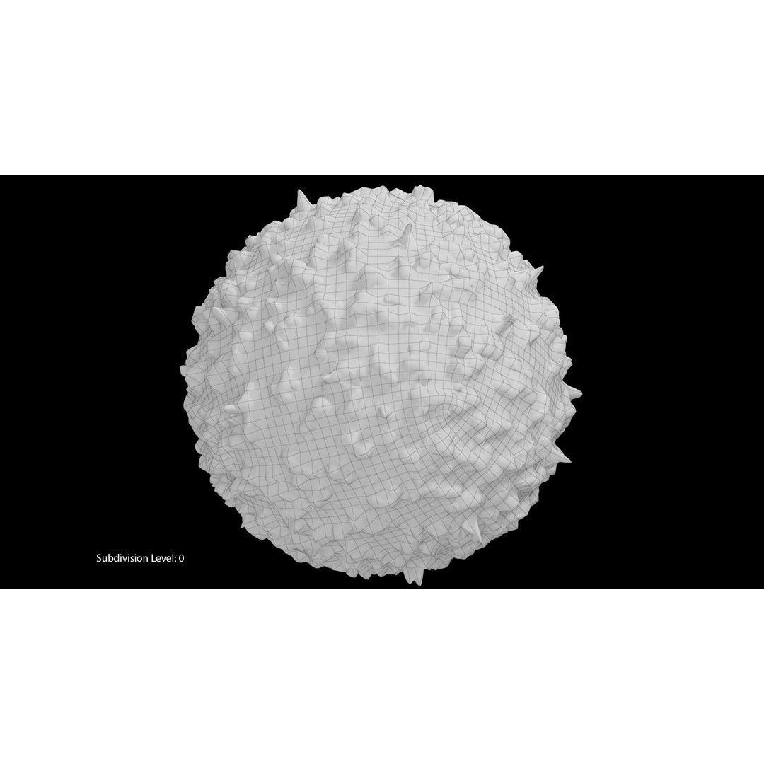 White Blood Cell 3D Model – Low Poly Medical Asset, FBX, OBJ - View 23