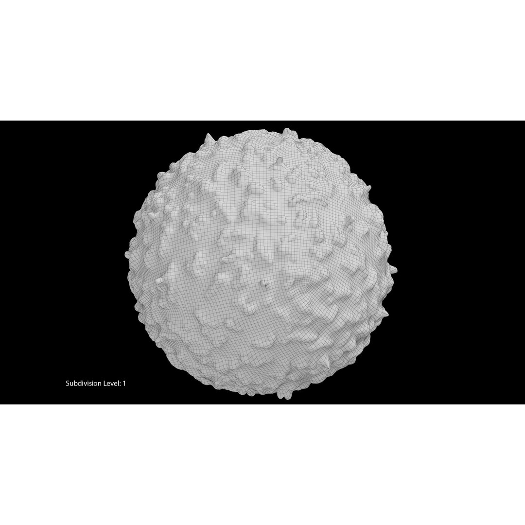White Blood Cell 3D Model – Low Poly Medical Asset, FBX, OBJ - View 24