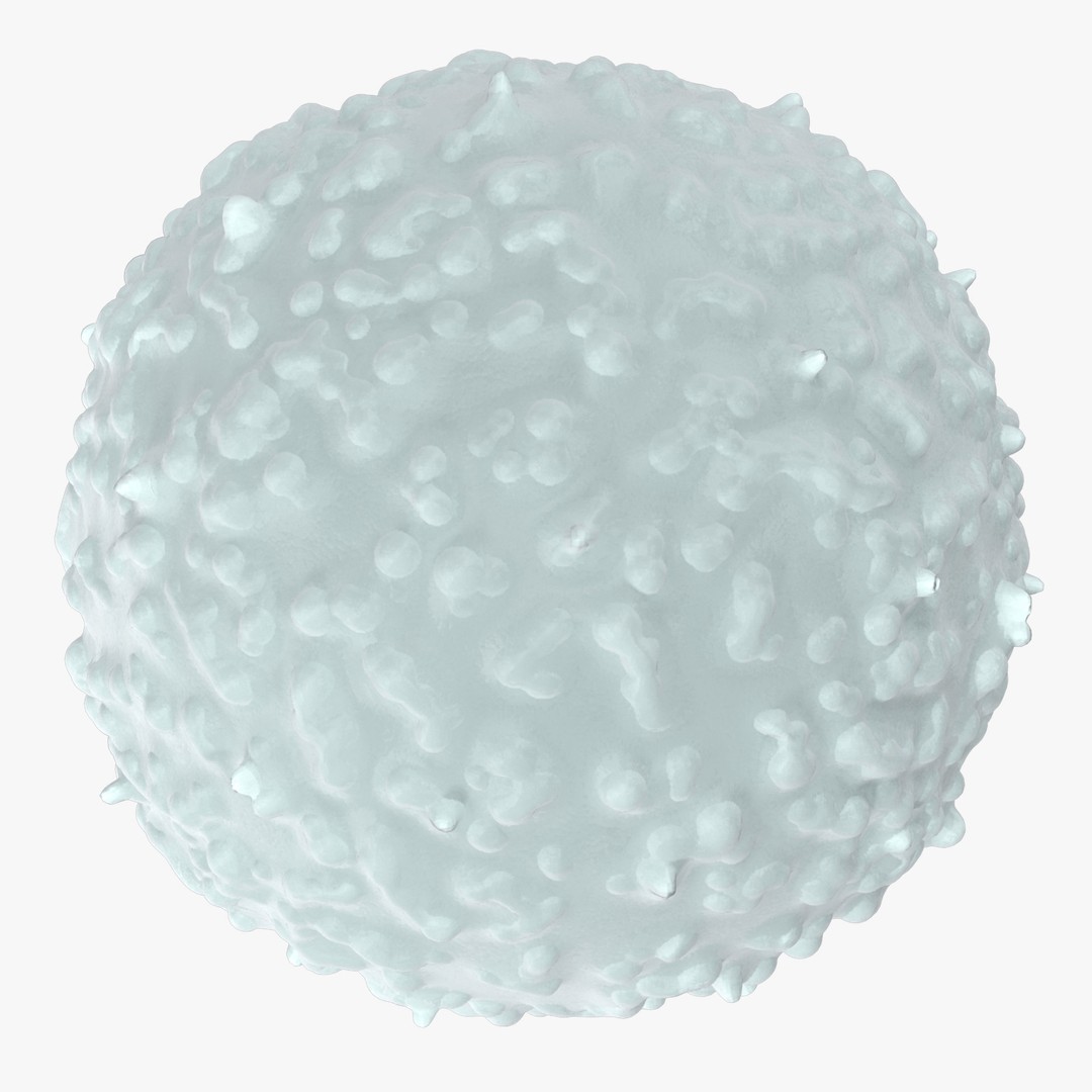 White Blood Cell 3D Model – Low Poly Medical Asset, FBX, OBJ - View 6