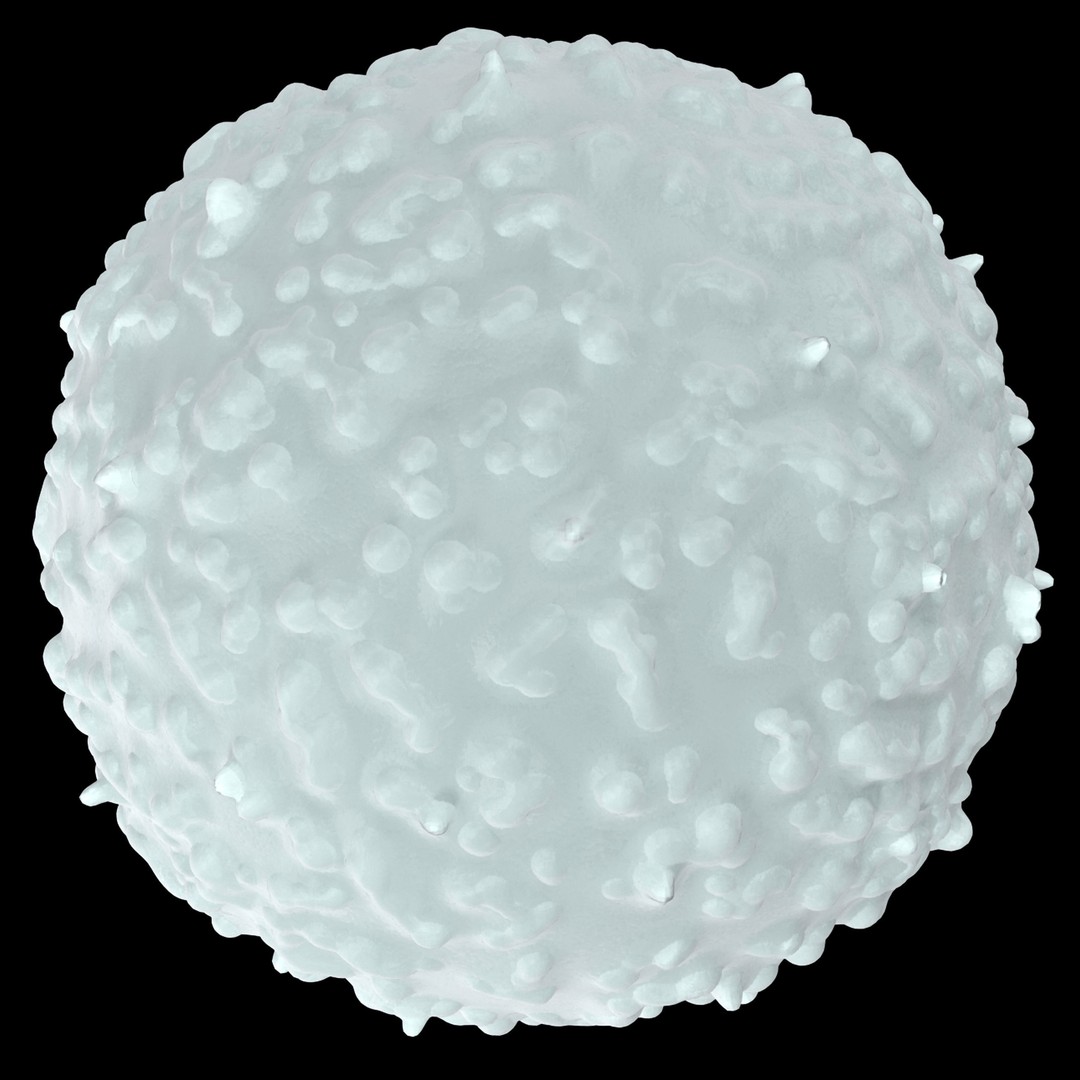 White Blood Cell 3D Model – Low Poly Medical Asset, FBX, OBJ - View 7