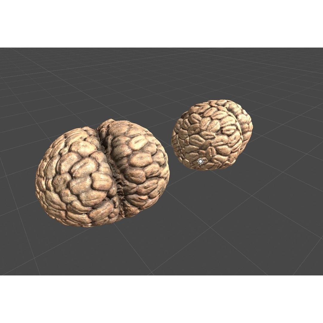 Katsumade Galangal Seed 3D Model – Low Poly PBR Asset, OBJ Format - View 5