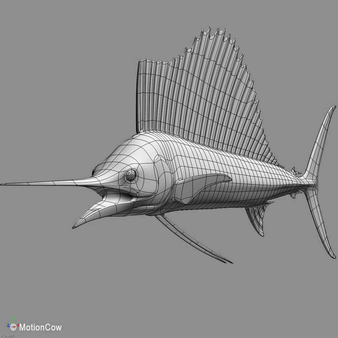 Sailfish 3D Model – Realistic Rigged Animation Asset, FBX - View 15