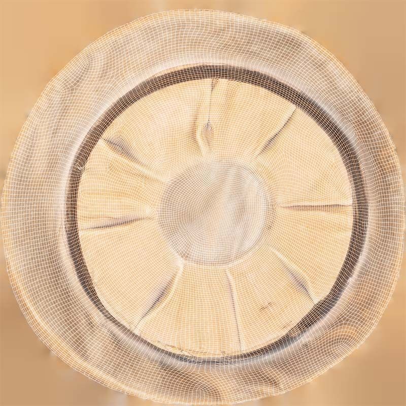 Melon Hat 3D Model – Low Poly Character Clothing, FBX, Blender - View 16