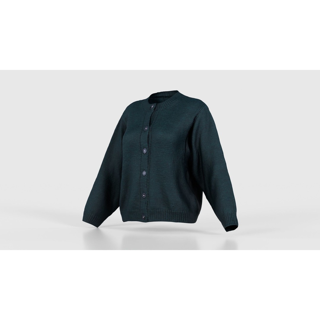 Green Cardigan 3D Model – Low Poly Women's Apparel, FBX, Blender