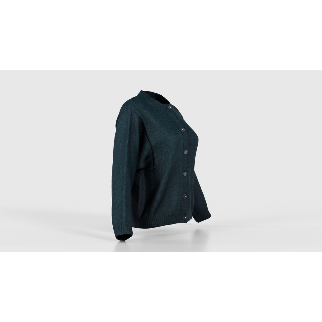 Green Cardigan 3D Model – Low Poly Women's Apparel, FBX, Blender - View 19