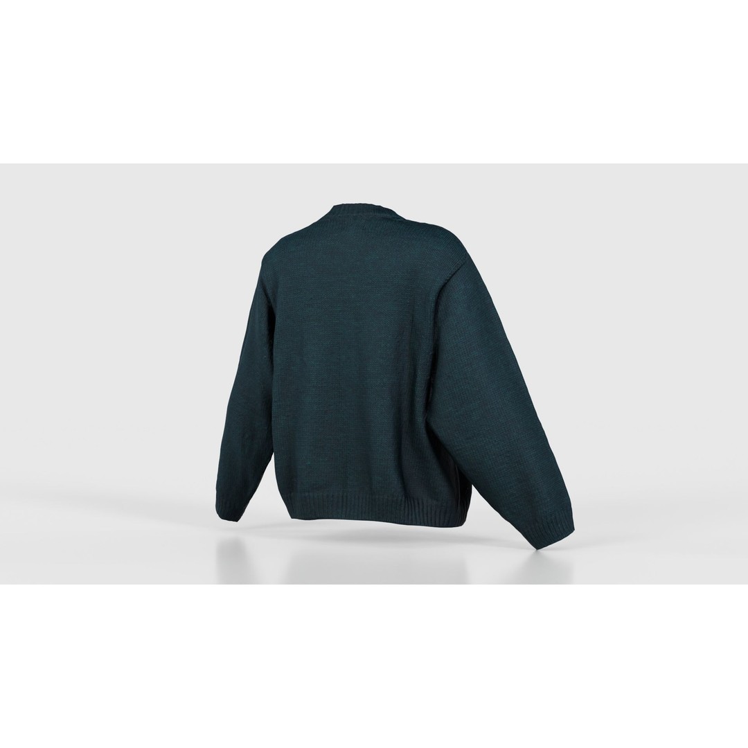 Green Cardigan 3D Model – Low Poly Women's Apparel, FBX, Blender - View 22
