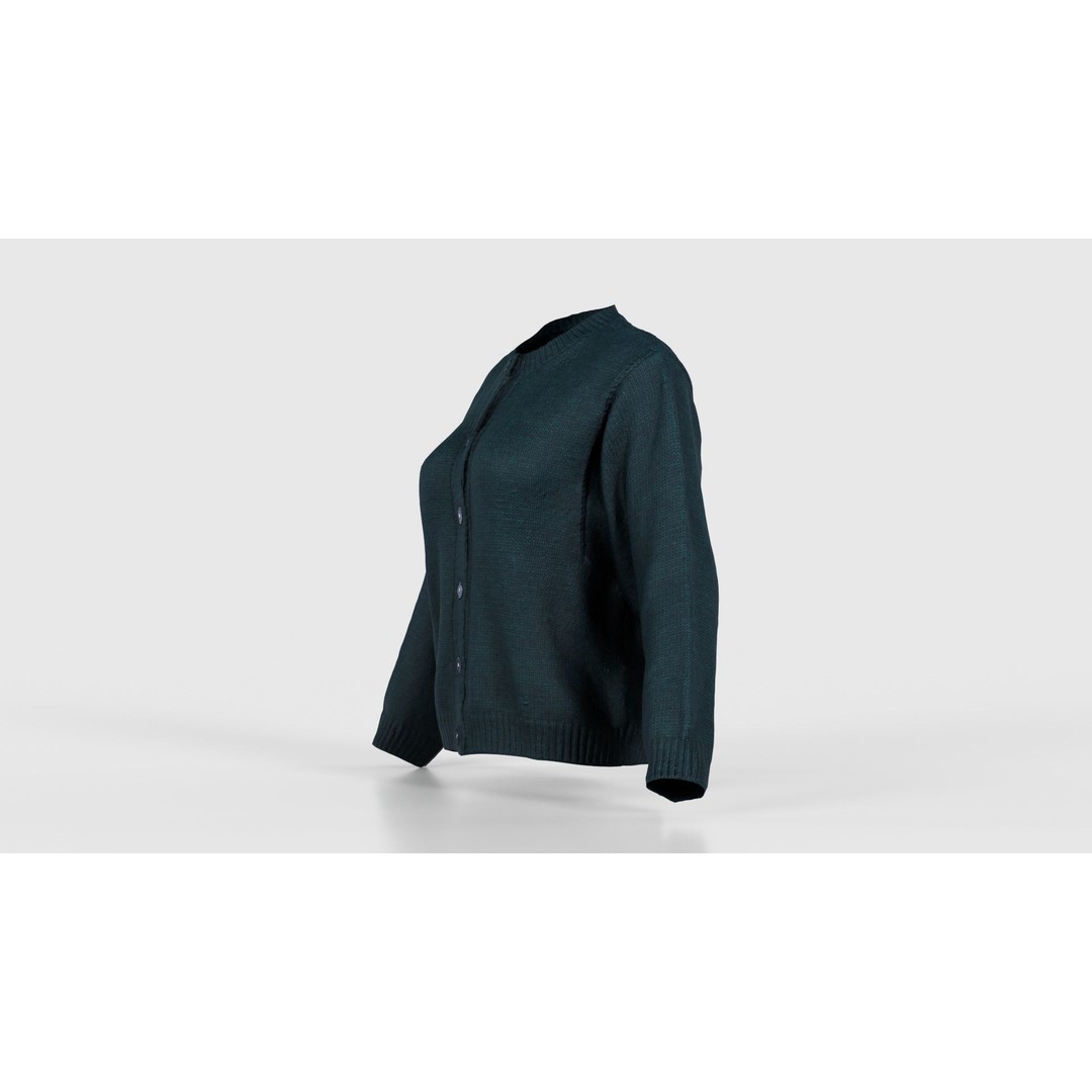 Green Cardigan 3D Model – Low Poly Women's Apparel, FBX, Blender - View 27