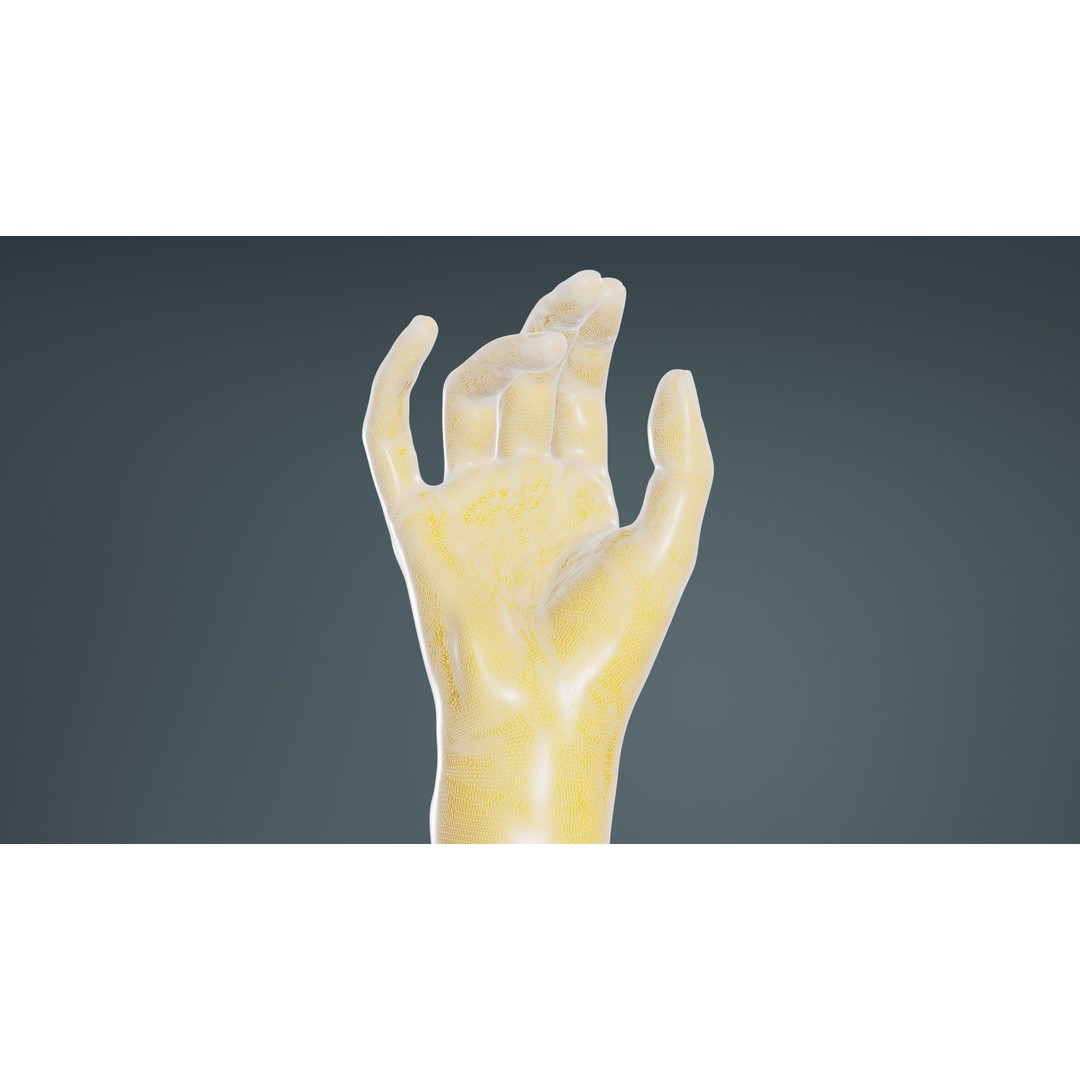 Realistic Hand 3D Model – Low Poly Photogrammetry Asset, FBX, Blender - View 11