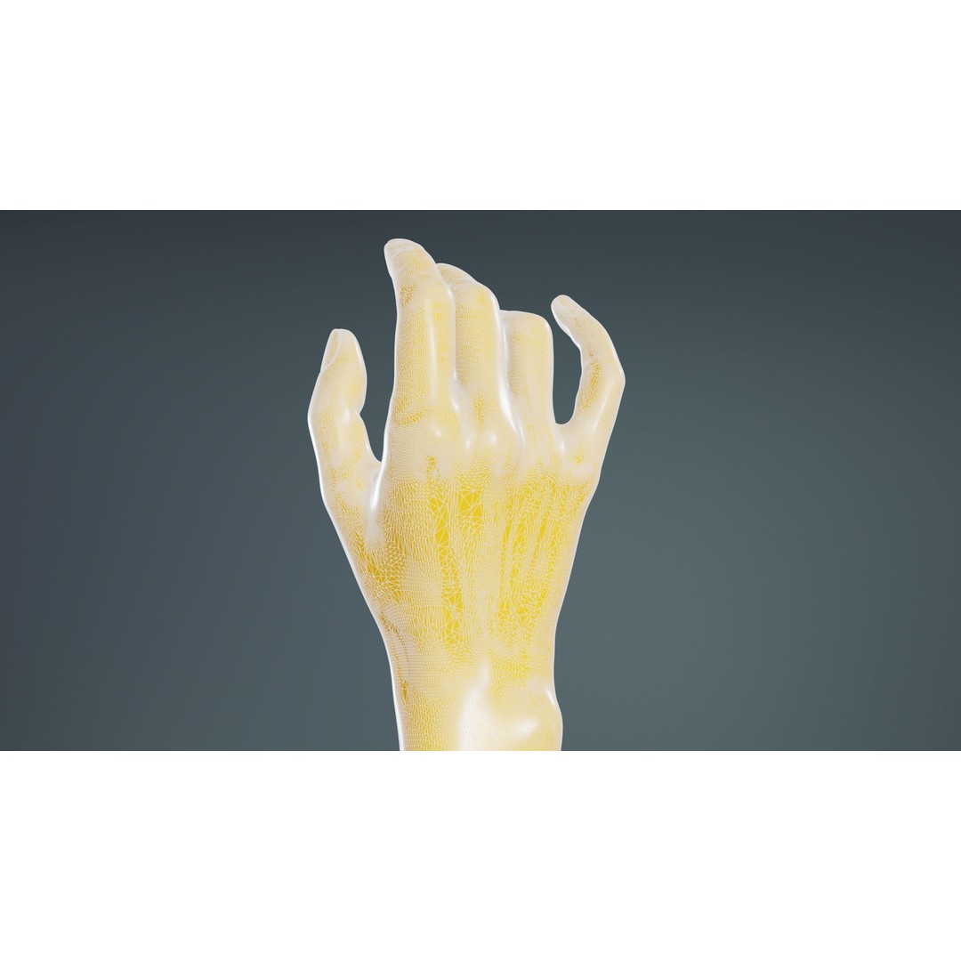 Realistic Hand 3D Model – Low Poly Photogrammetry Asset, FBX, Blender - View 12