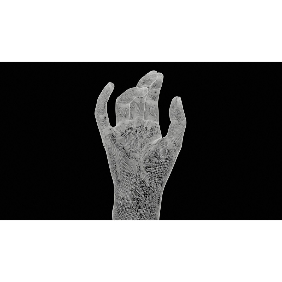 Realistic Hand 3D Model – Low Poly Photogrammetry Asset, FBX, Blender - View 13
