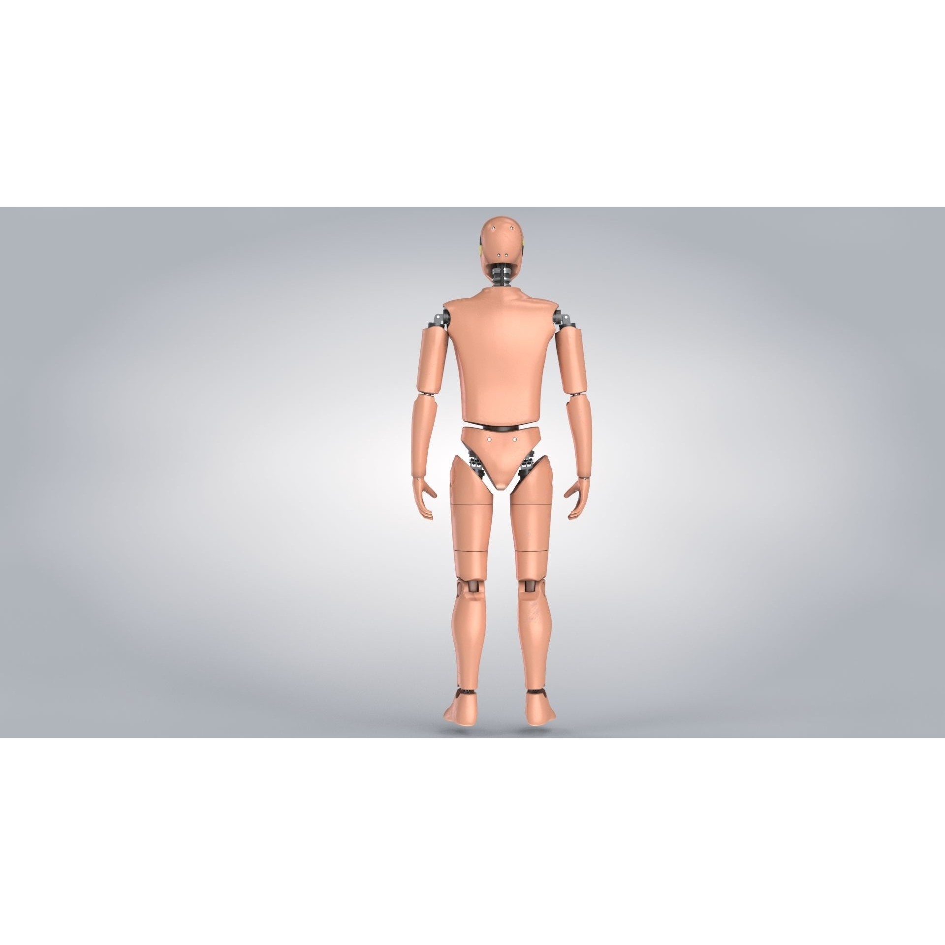 Male Crash Test Dummy - Low-Poly Game-Ready 3D Model - View 13