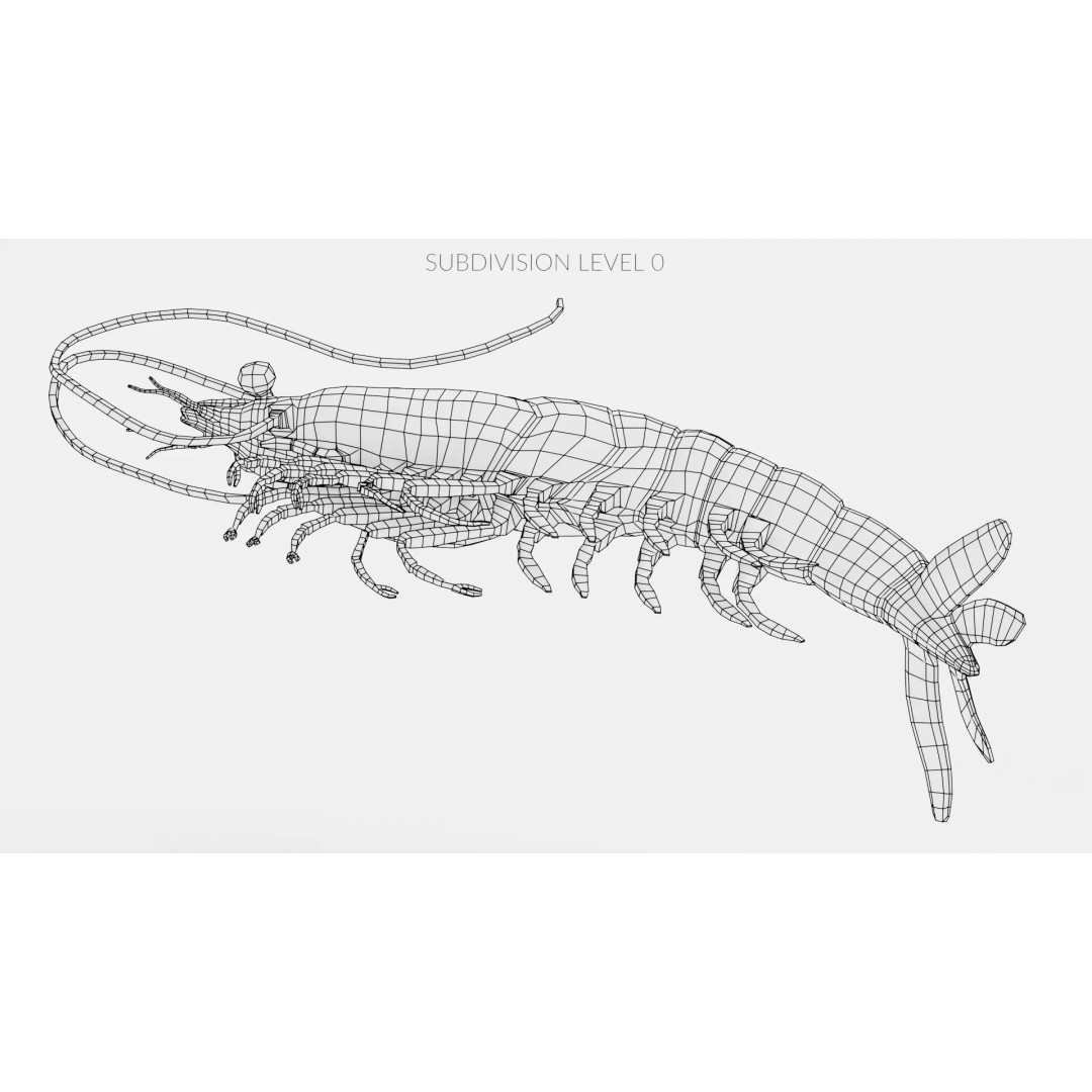 Realistic Shrimp 3D Model – Detailed Crustacean with PBR Textures - View 12