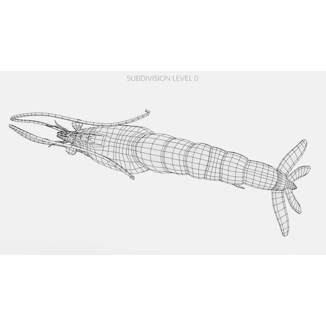 Realistic Shrimp 3D Model – Detailed Crustacean with PBR Textures - View 14