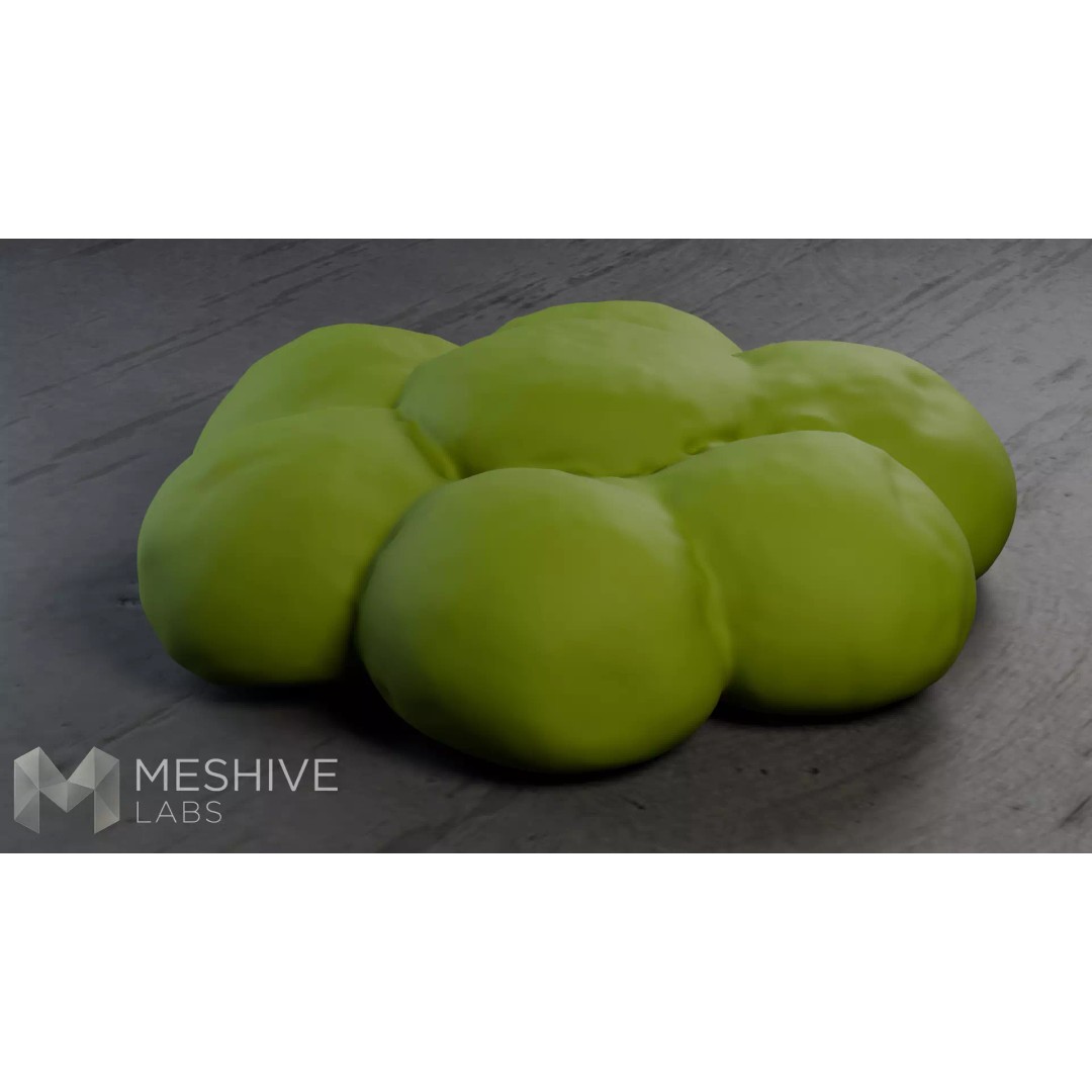 Artisan Daisy Bread 3D Model – Low Poly PBR Game Asset, FBX - View 16