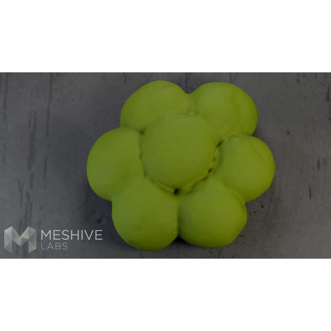 Artisan Daisy Bread 3D Model – Low Poly PBR Game Asset, FBX - View 17