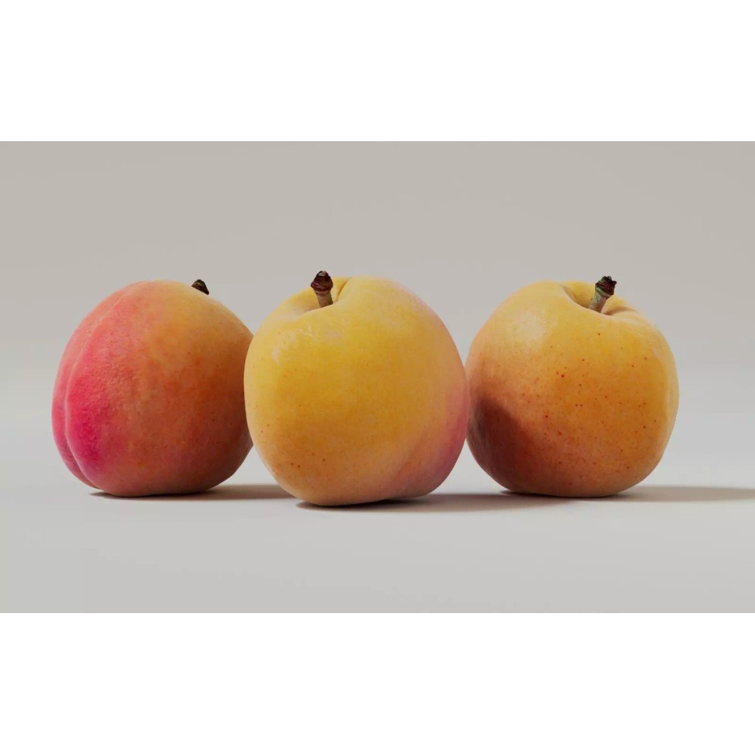 Apricot 3D Model – Realistic Fruit Asset with PBR Textures, Blender - View 10