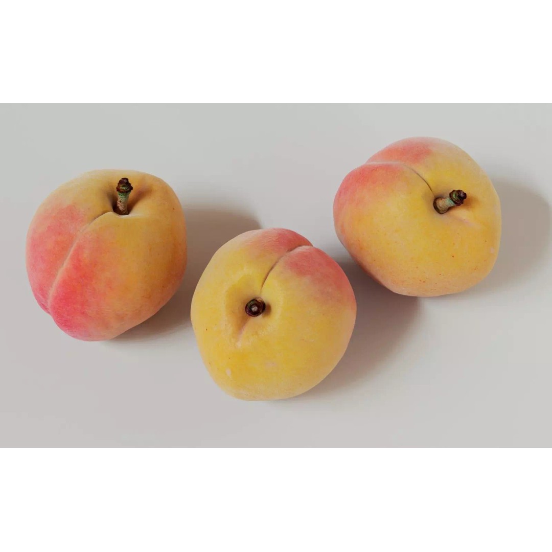 Apricot 3D Model – Realistic Fruit Asset with PBR Textures, Blender - View 12