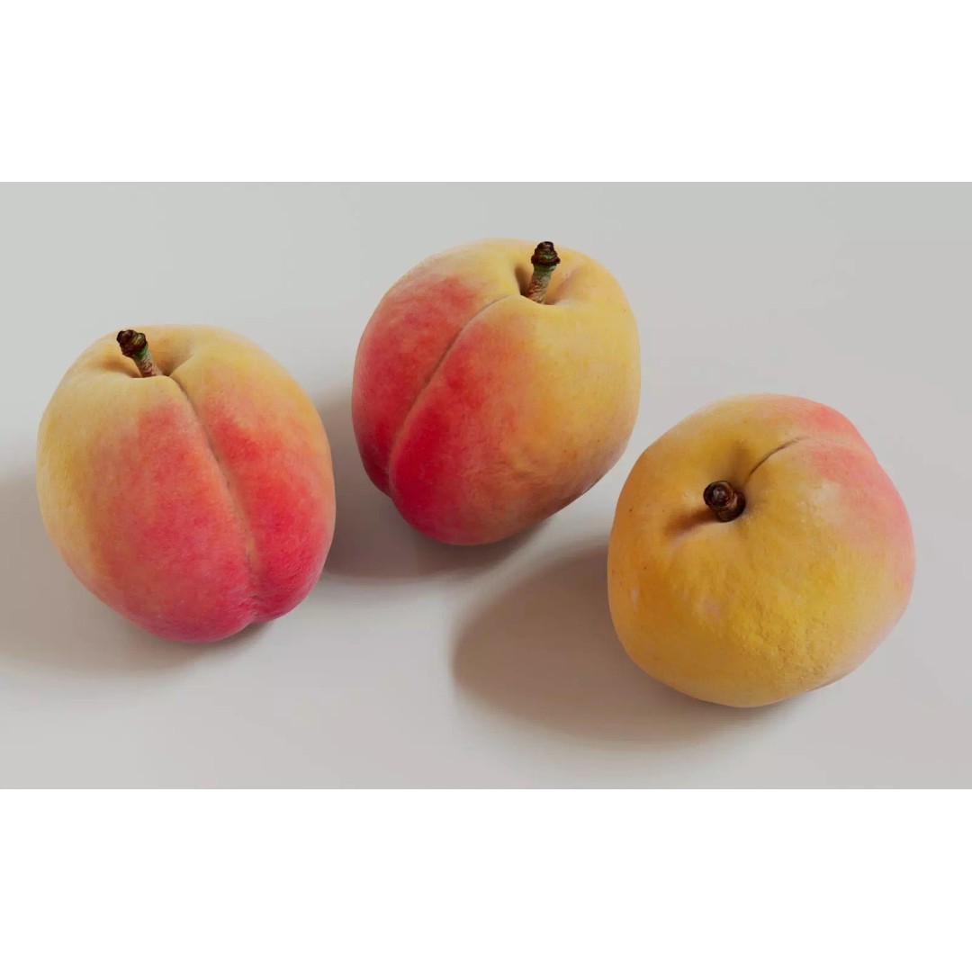 Apricot 3D Model – Realistic Fruit Asset with PBR Textures, Blender - View 14