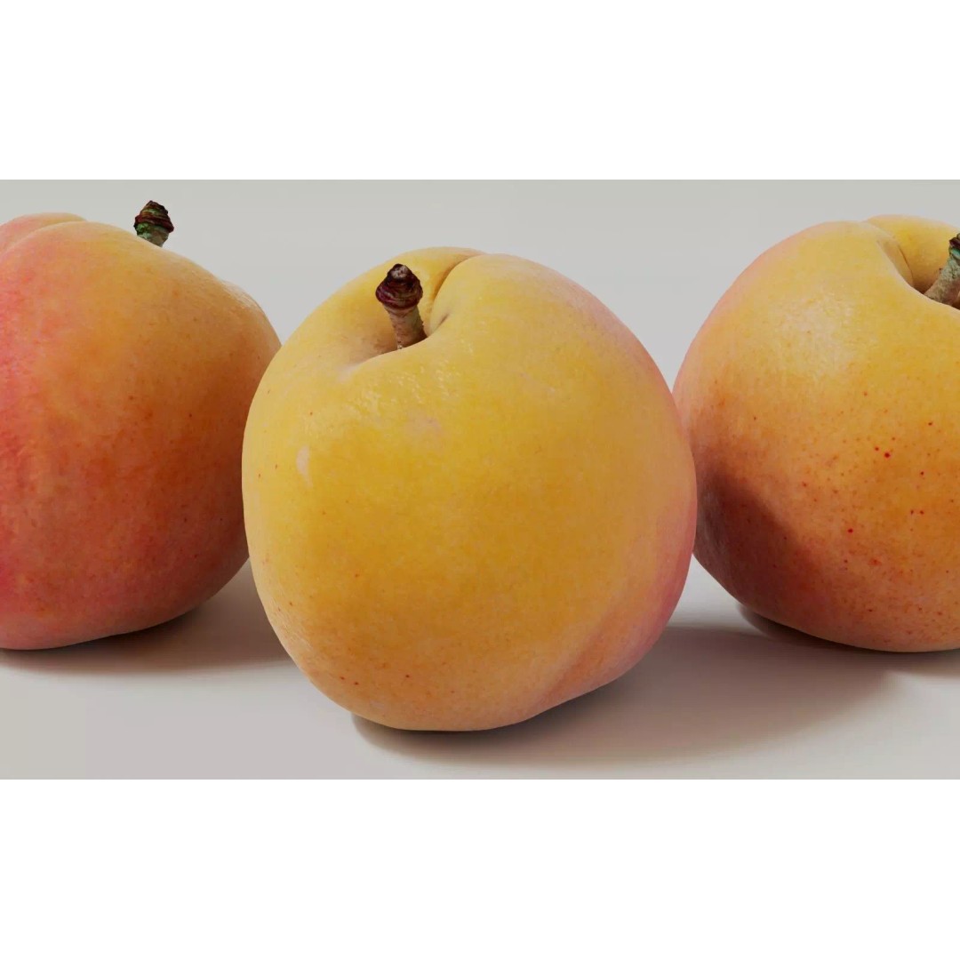 Apricot 3D Model – Realistic Fruit Asset with PBR Textures, Blender - View 18