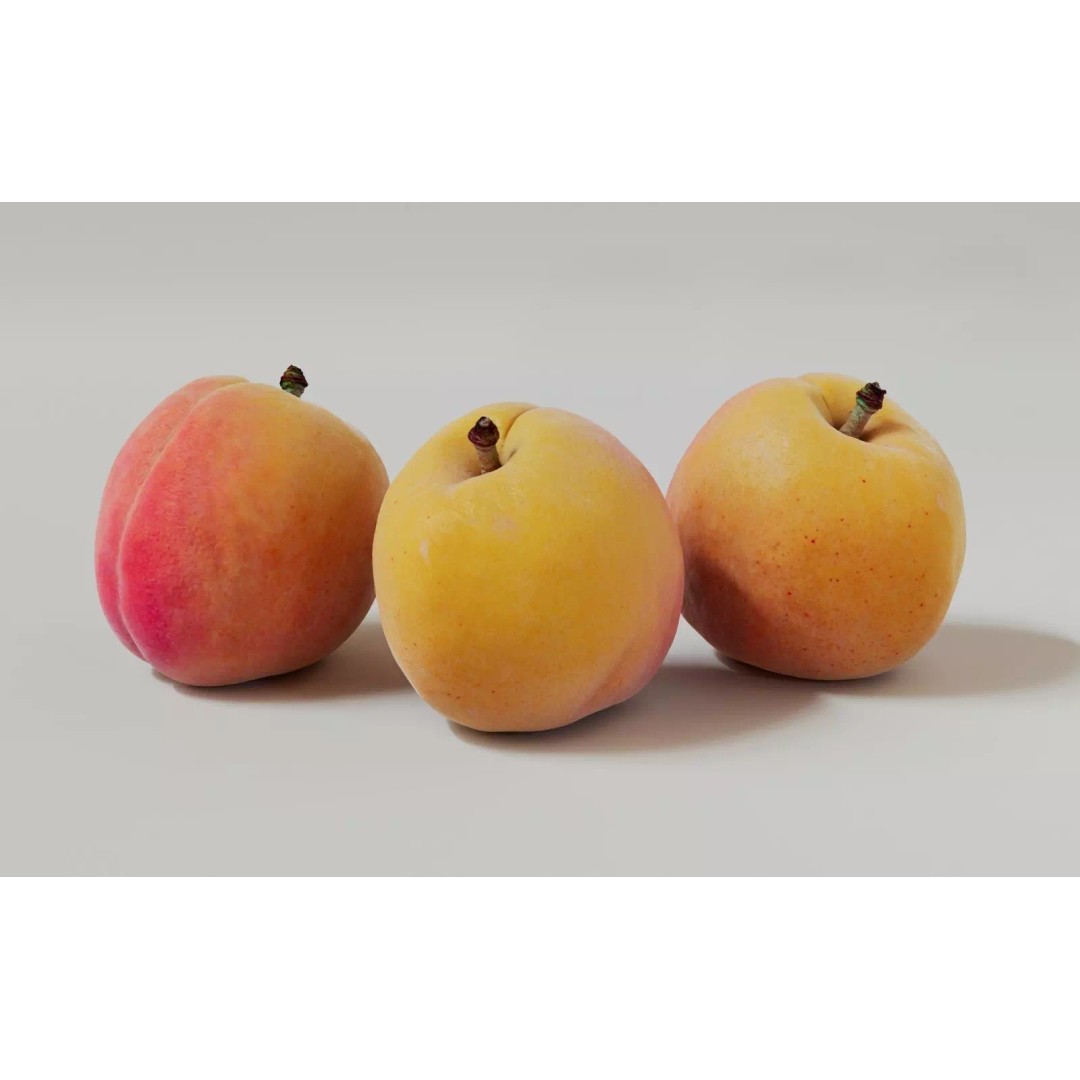 Apricot 3D Model – Realistic Fruit Asset with PBR Textures, Blender - View 8