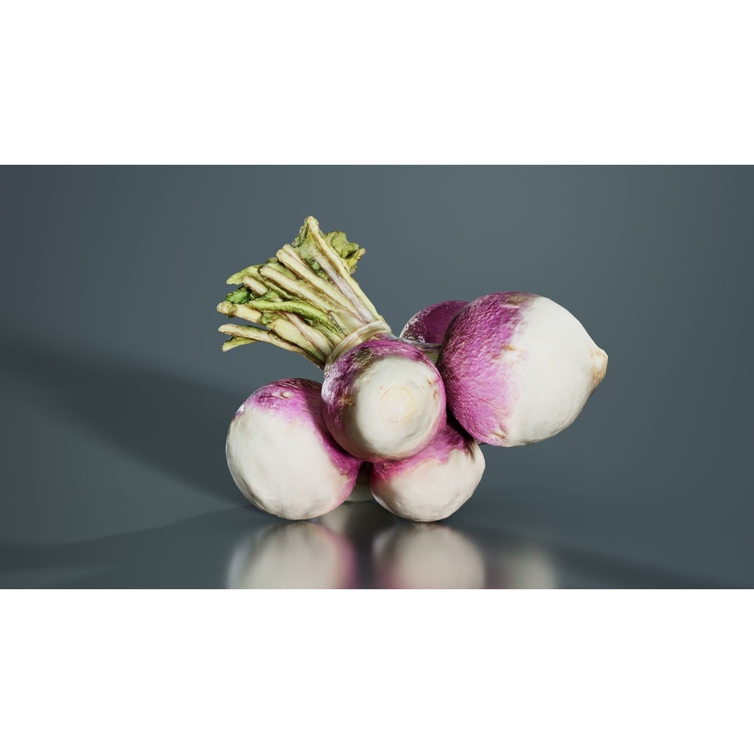 Rapen 3D Model – Low Poly Vegetable Asset, PBR Textures, FBX - View 10