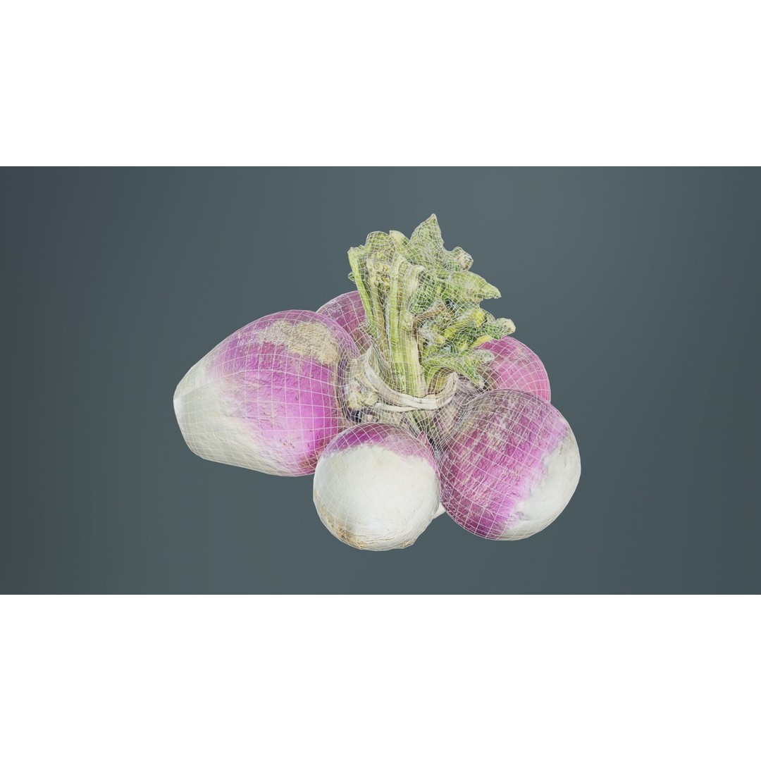 Rapen 3D Model – Low Poly Vegetable Asset, PBR Textures, FBX - View 11