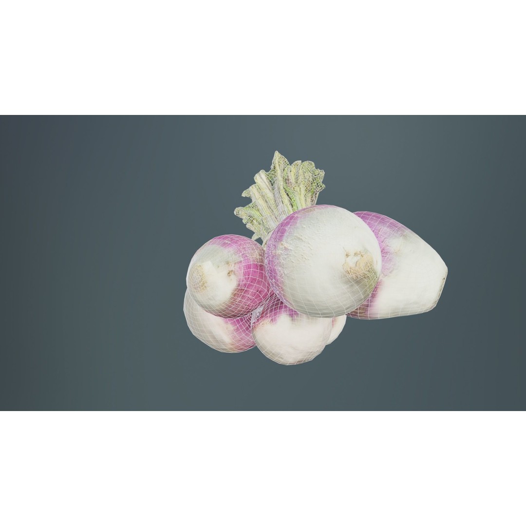 Rapen 3D Model – Low Poly Vegetable Asset, PBR Textures, FBX - View 12