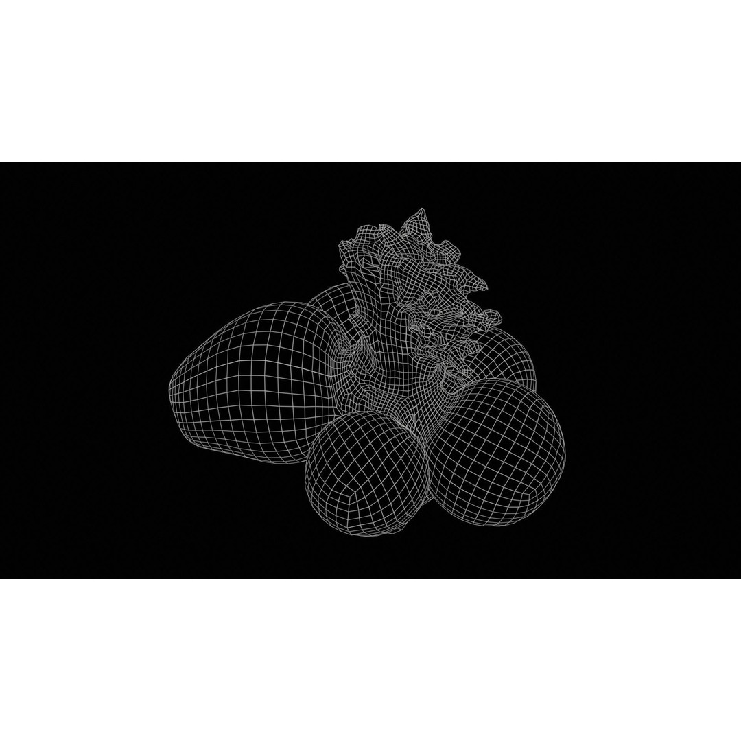 Rapen 3D Model – Low Poly Vegetable Asset, PBR Textures, FBX - View 13
