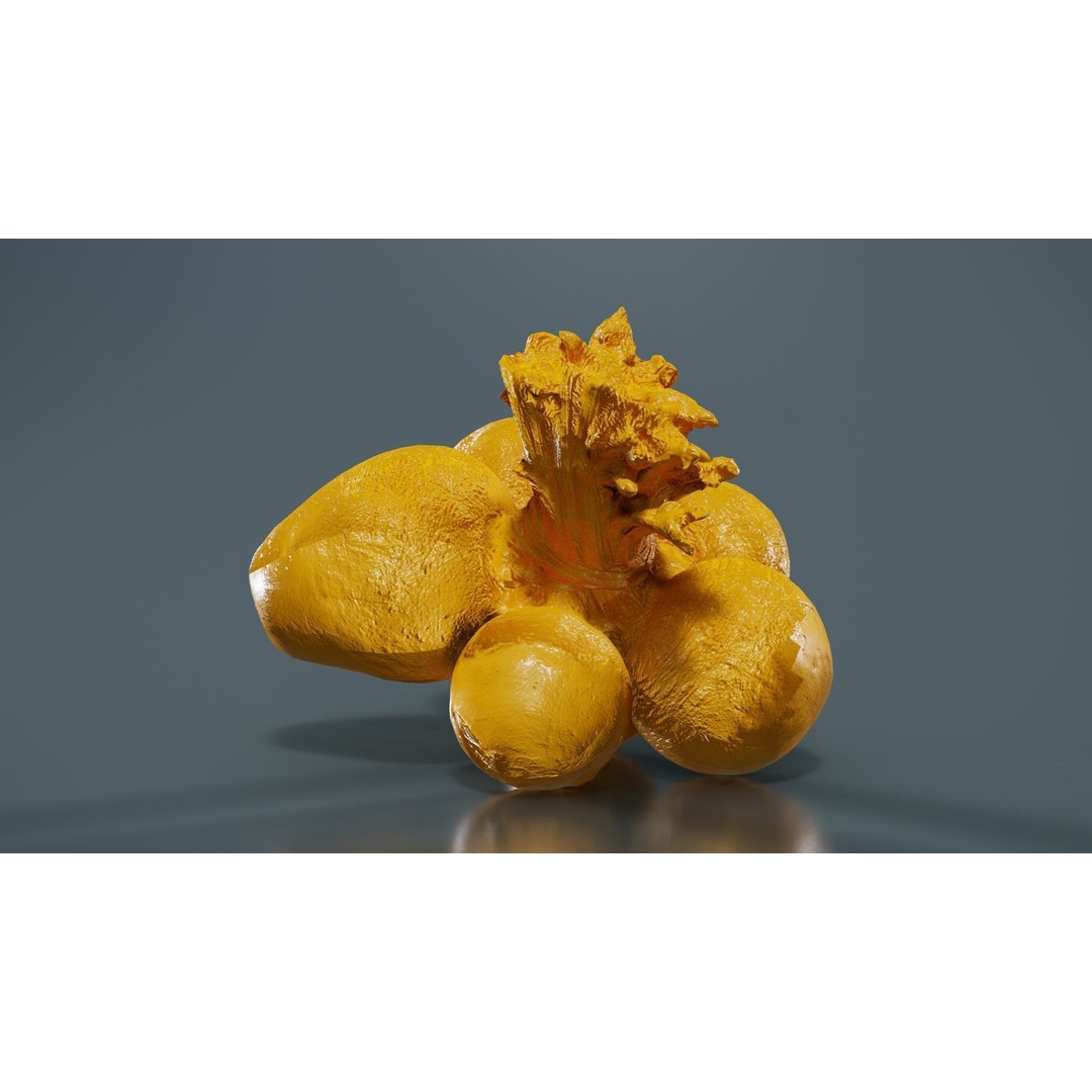 Rapen 3D Model – Low Poly Vegetable Asset, PBR Textures, FBX - View 14