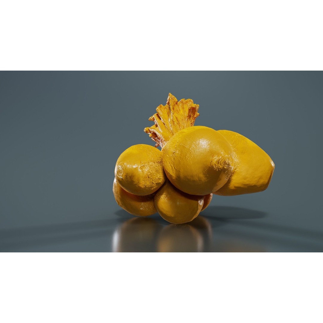 Rapen 3D Model – Low Poly Vegetable Asset, PBR Textures, FBX - View 15