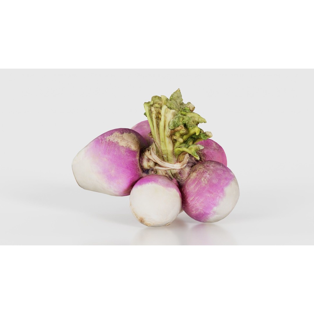 Rapen 3D Model – Low Poly Vegetable Asset, PBR Textures, FBX - View 17