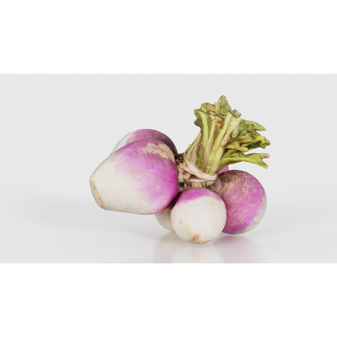 Rapen 3D Model – Low Poly Vegetable Asset, PBR Textures, FBX - View 18