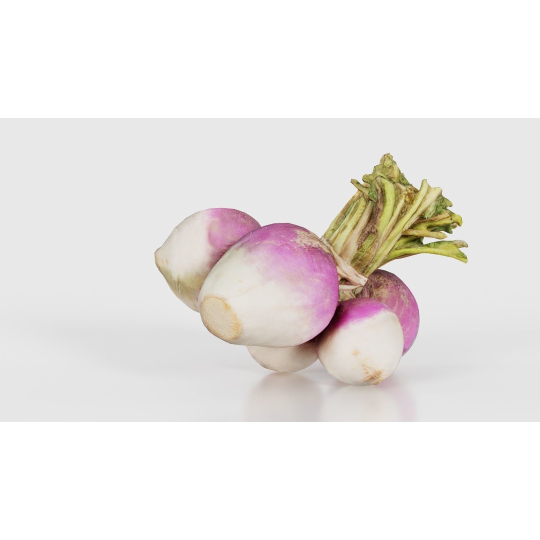 Rapen 3D Model – Low Poly Vegetable Asset, PBR Textures, FBX - View 19