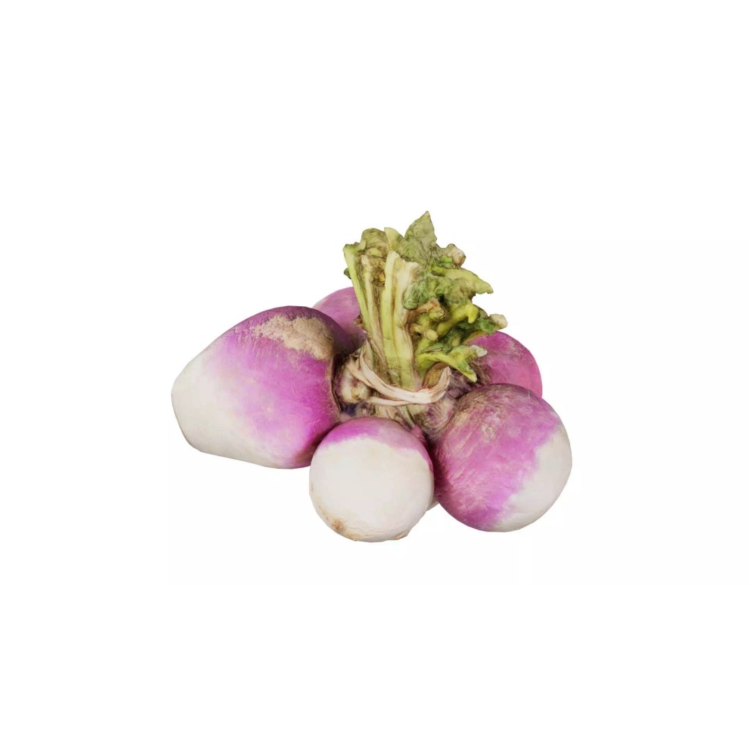 Rapen 3D Model – Low Poly Vegetable Asset, PBR Textures, FBX - View 2