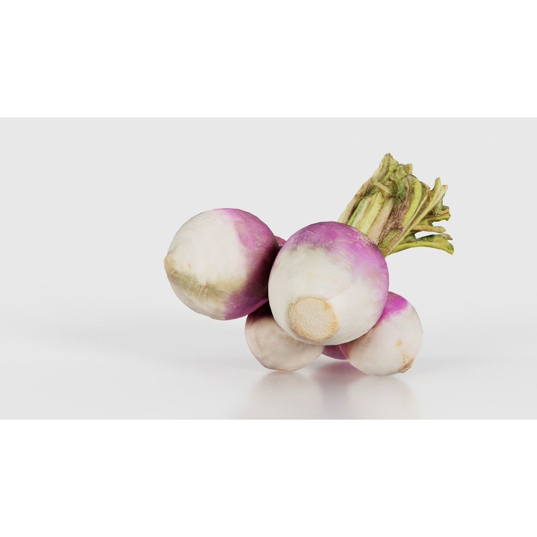 Rapen 3D Model – Low Poly Vegetable Asset, PBR Textures, FBX - View 20