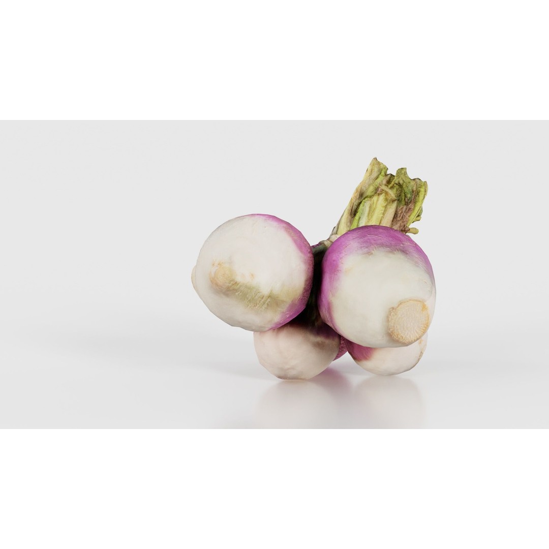 Rapen 3D Model – Low Poly Vegetable Asset, PBR Textures, FBX - View 21