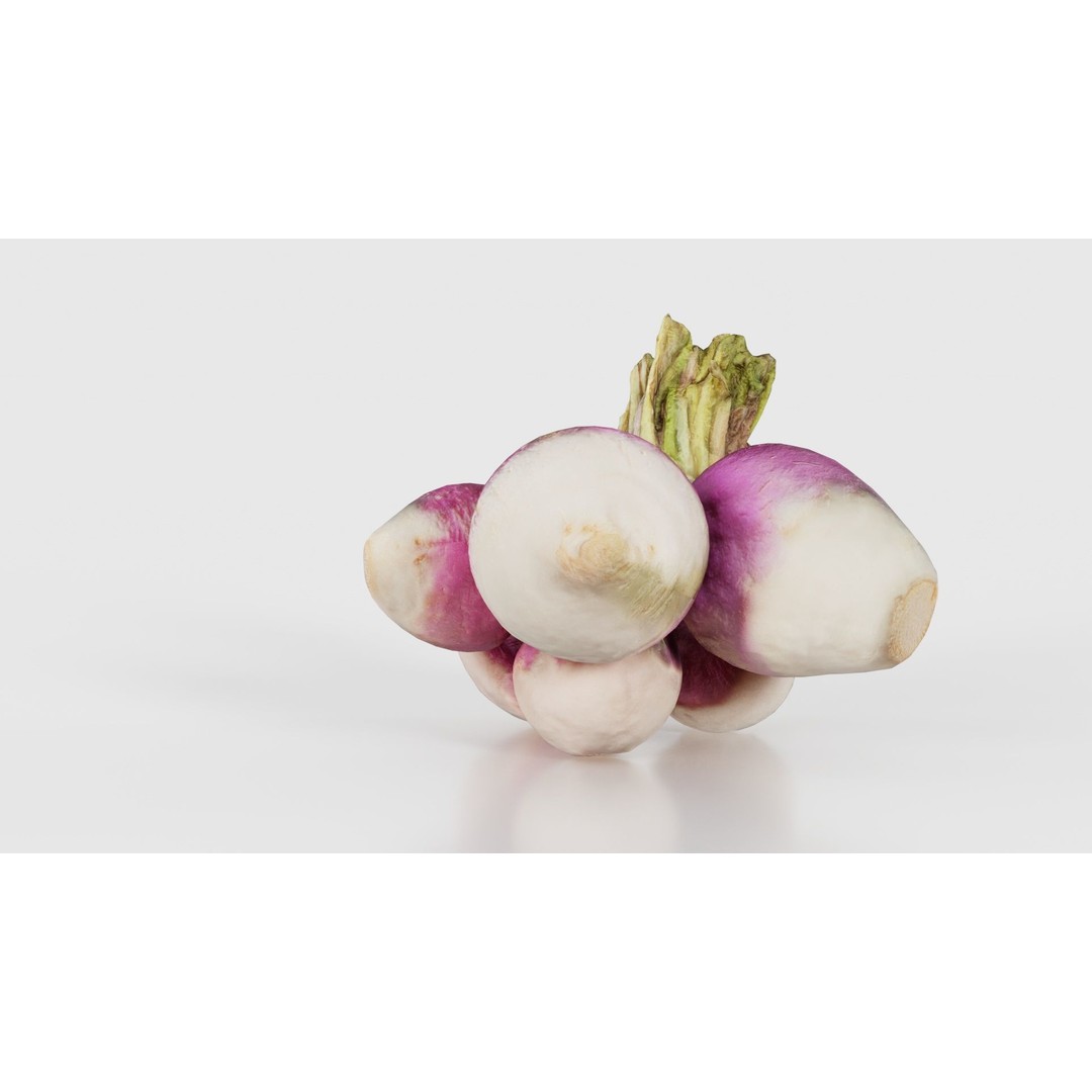 Rapen 3D Model – Low Poly Vegetable Asset, PBR Textures, FBX - View 22