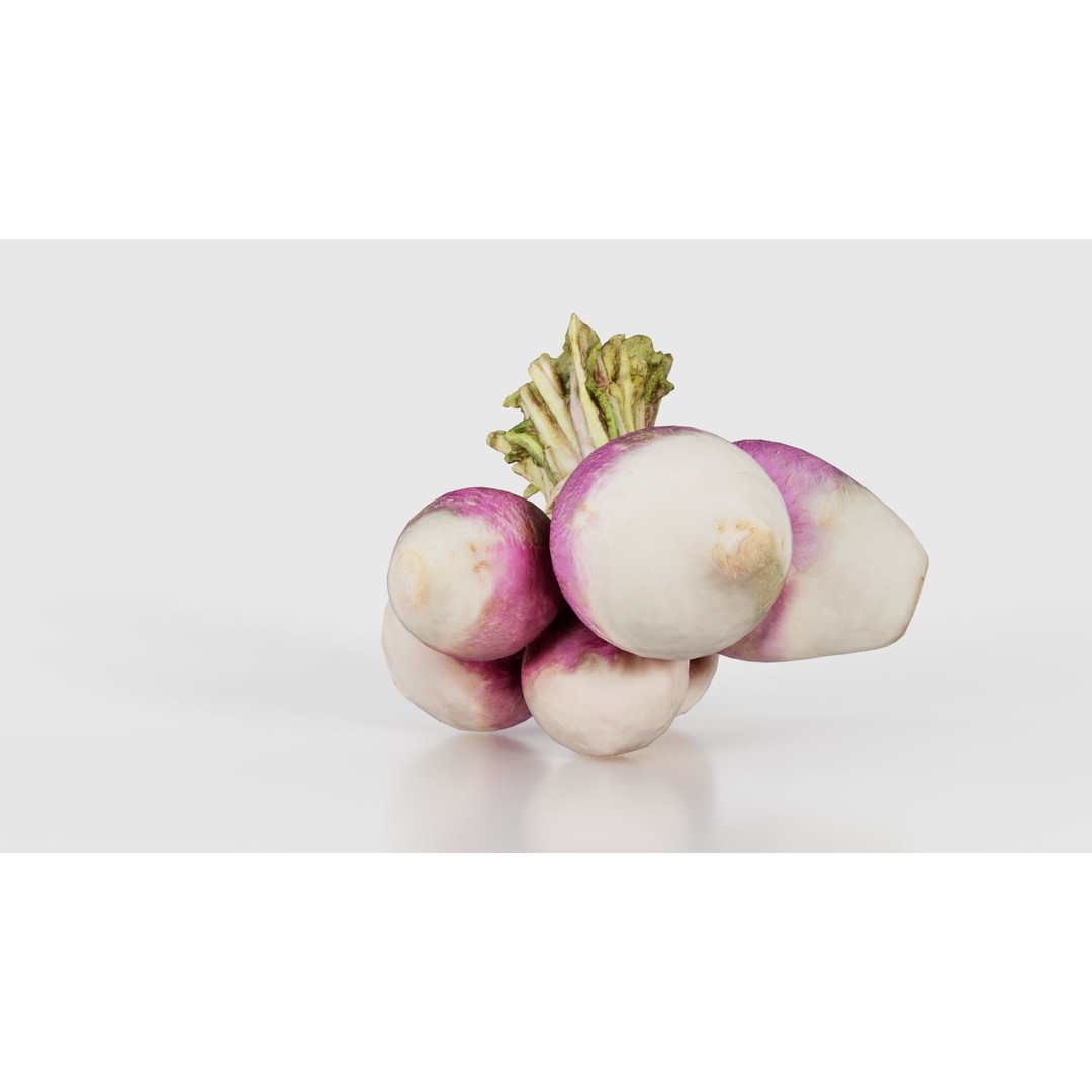 Rapen 3D Model – Low Poly Vegetable Asset, PBR Textures, FBX - View 23
