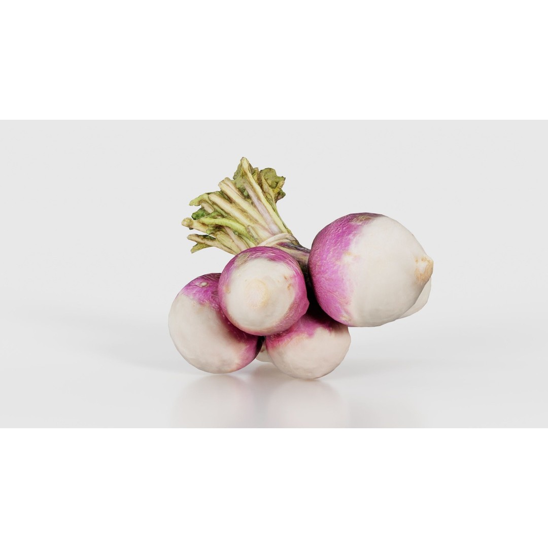 Rapen 3D Model – Low Poly Vegetable Asset, PBR Textures, FBX - View 24