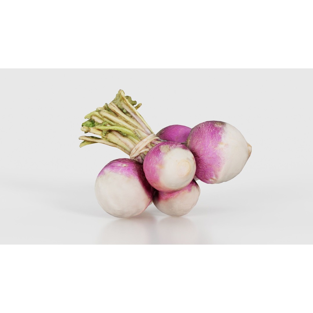 Rapen 3D Model – Low Poly Vegetable Asset, PBR Textures, FBX - View 25
